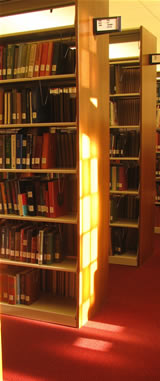 study hard for webhosting in Japan